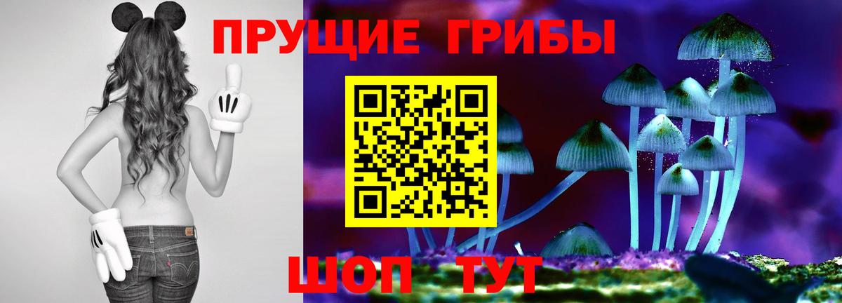 Псилоцибиновые грибы Psilocybe Минеральные Воды